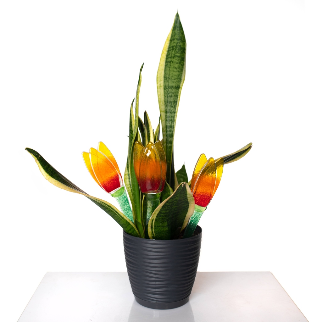 Prezentacja wyrobów szklanych z pracowni ZAJDEL – technika fusingu