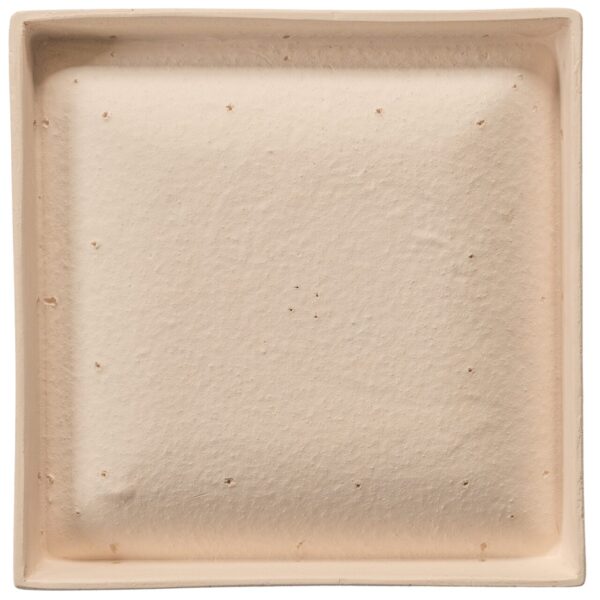 31_Easy-Resize.com 31_Easy-Resize.com